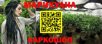 прущие грибы Ачхой-Мартан