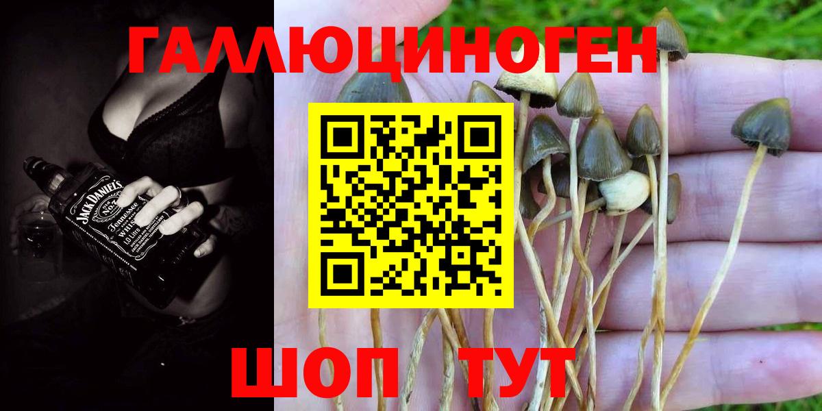 Галлюциногенные грибы мухоморы Белебей