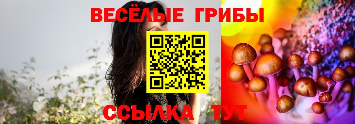 Псилоцибиновые грибы прущие грибы  Белебей  Псилоцибиновые грибы мухоморы 