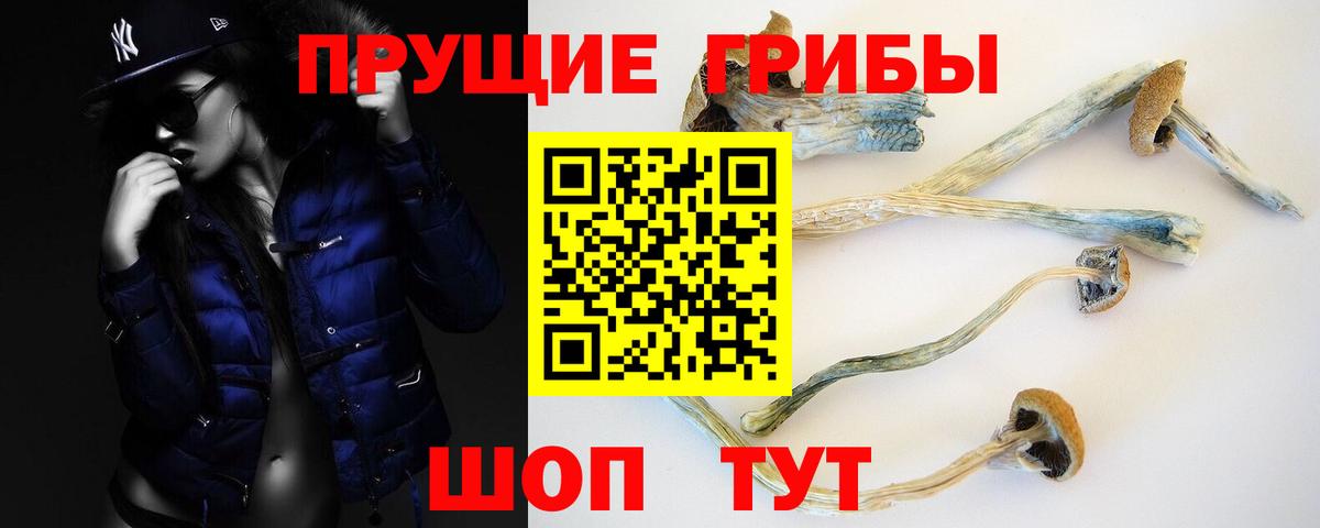 Галлюциногенные грибы прущие грибы Белебей